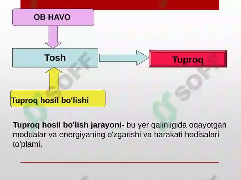 Tuproq hosil qilish jarayoni 2