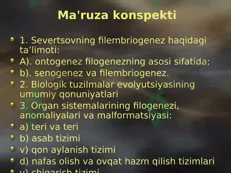 14-sonli ma’ruza 2