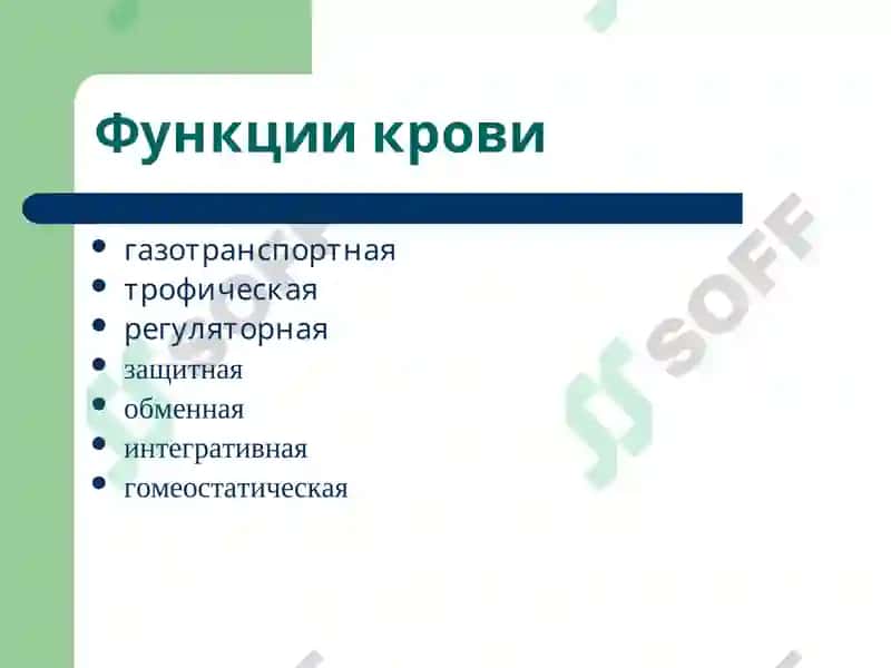 Лекция 12 Патофизиология крови 2