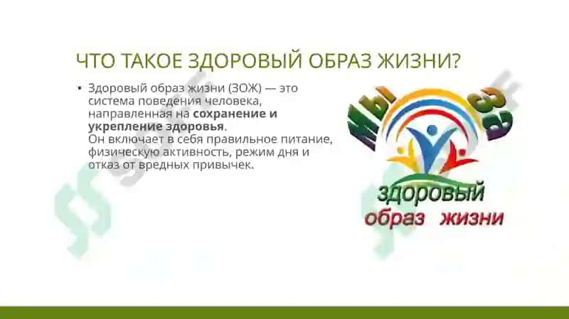Понятие_об_экологии_История_развития_гигиены 2