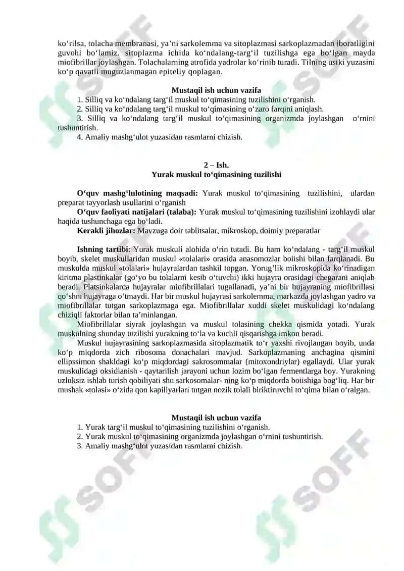 Muskul toʻqimasining mikroskopik tuzilishi 2