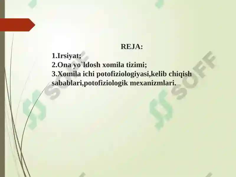 IRSIYAT VA XOMILA ICHI PATOFIZIOLOGIYASI 2