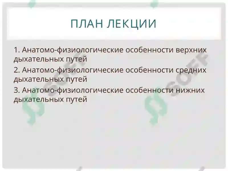 АНАТОМО-ФИЗИОЛОГИЧЕСКИЕ ОСОБЕННОСТИ ОРГАНОВ ДЫХАНИЯ У ДЕТЕЙ 2