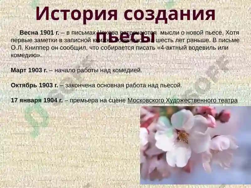Вишневый сад 2