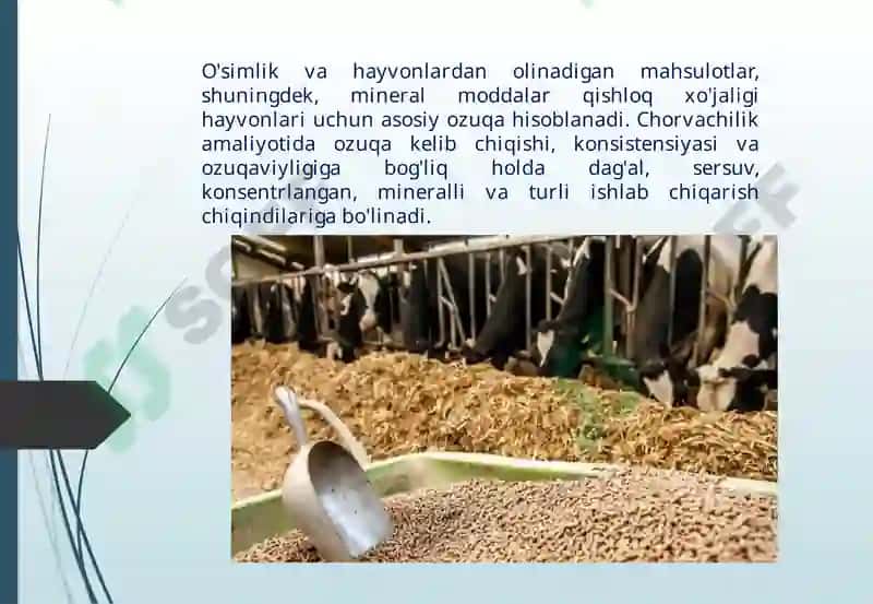 Omixta yem maydalanish yirikligini aniqlash 2