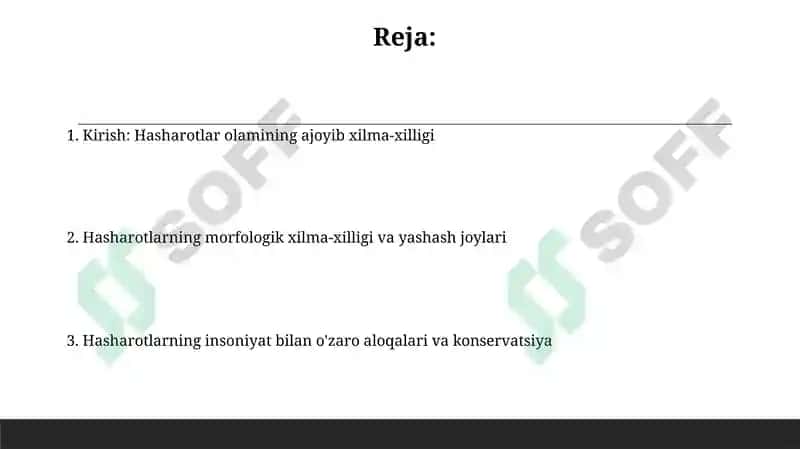 Hasharotlarning xilma-xilligini yoritib beruvchi taqdimot 2