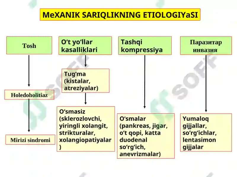 Mexanik sariqlik 2