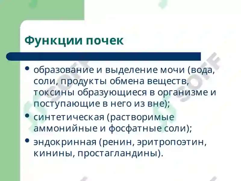 Патофизиология почек 2