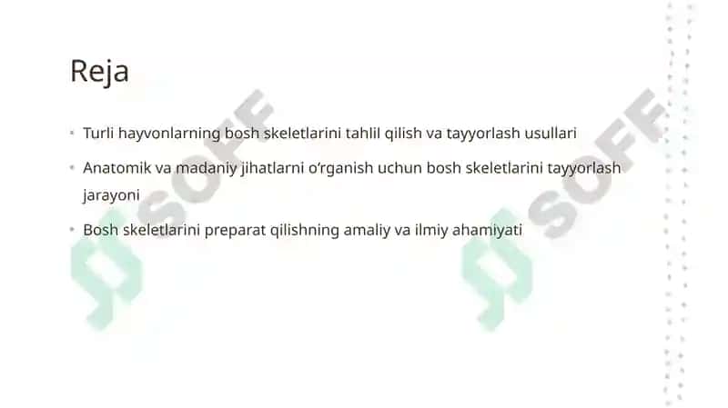 Turli hayvonlarning bosh skletidan prepatat tayorlash 2
