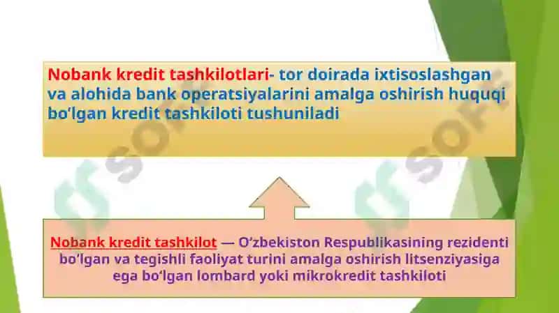 Nobankmoliya tashkilotlari 2