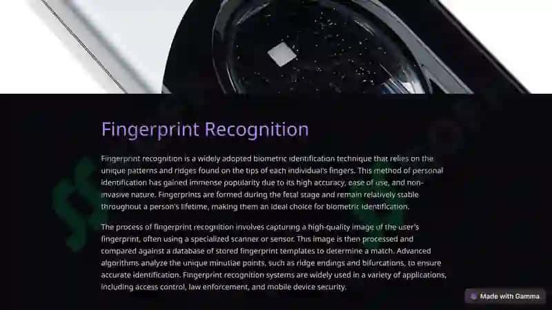 Biometric Personal Identification 2
