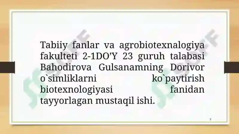 Dorivor o'simliklarni biotexnologik usul bilan kôpaytirishning ilmiy asoslari 2