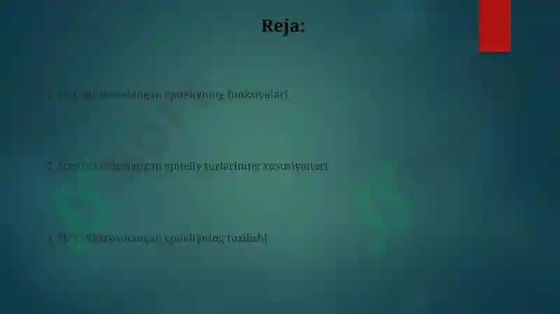 Stratifikatsiyalangan epiteliyning tuzilishi va vazifalari 2