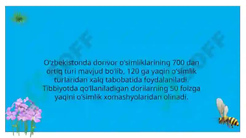 Surxonvohasining xalq tabobati 2