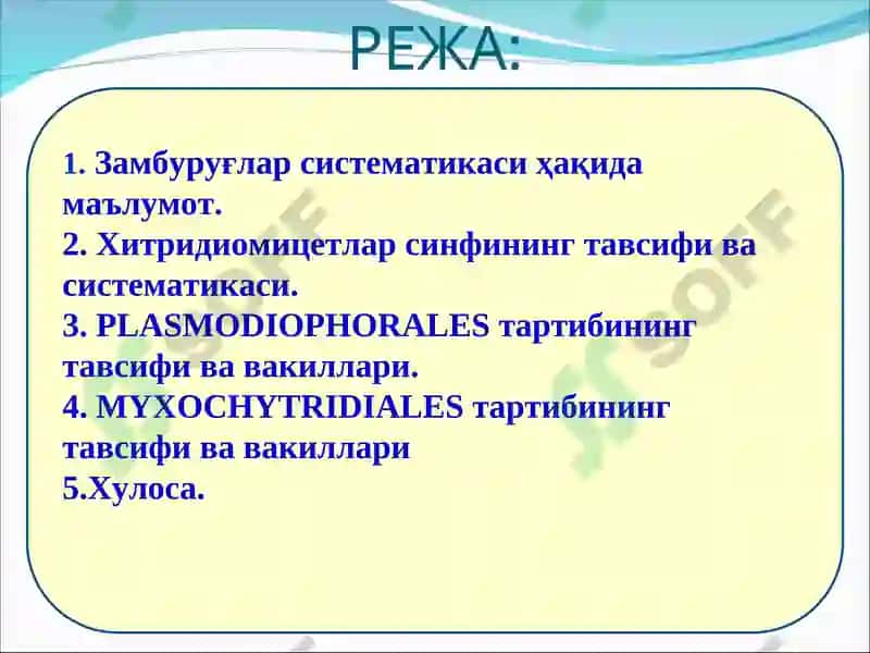 Замбуруғларнинг систематикаси. Хитридиомицетлар синфининг тавсифи 2