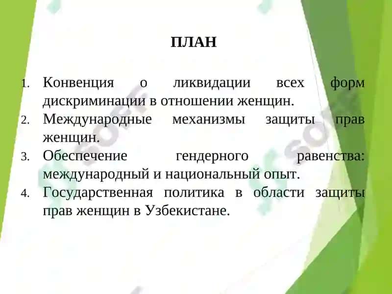 ПРАВОВАЯ ОСНОВА ЗАЩИТЫ ПРАВ ЖЕНЩИН: МЕЖДУНАРОДНЫЕ И НАЦИОНАЛЬНЫЕ МЕХАНИЗМЫ 2