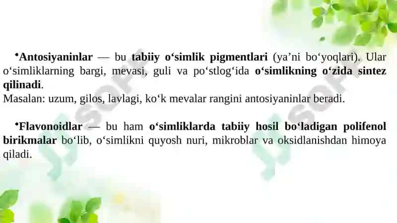 Antosiyaninlar va flavonoidlar manbalari va oziq-ovqatdagi roli 2