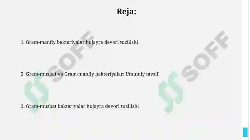 Gram-manfiy va Gram-musbat bakteriyalar 2