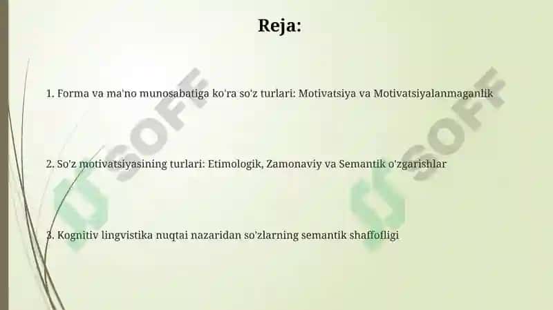 Muxitdinova Xolidaning hozirgi oʼzbek adabiy tili fanidan taqdimoti 2