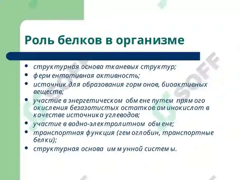 Лекция 9 Патофизиология 2
