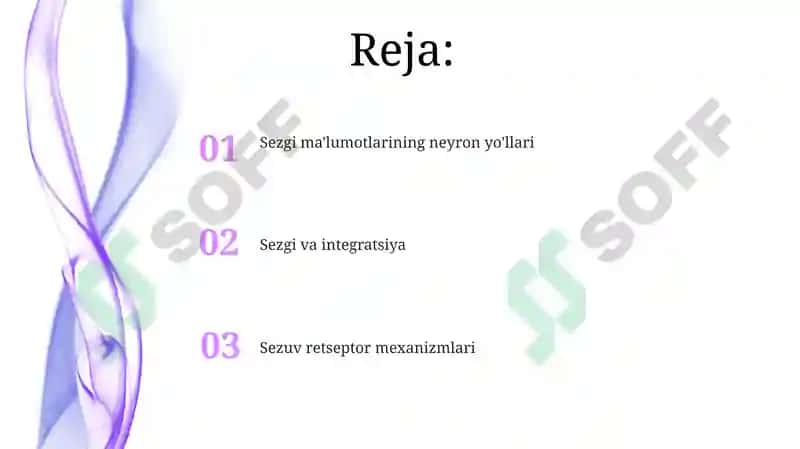 Hid bilish analizatorlar fiziologiyasi 2