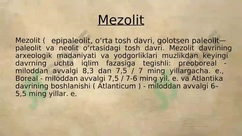 Mezolit va neolitdavri 2