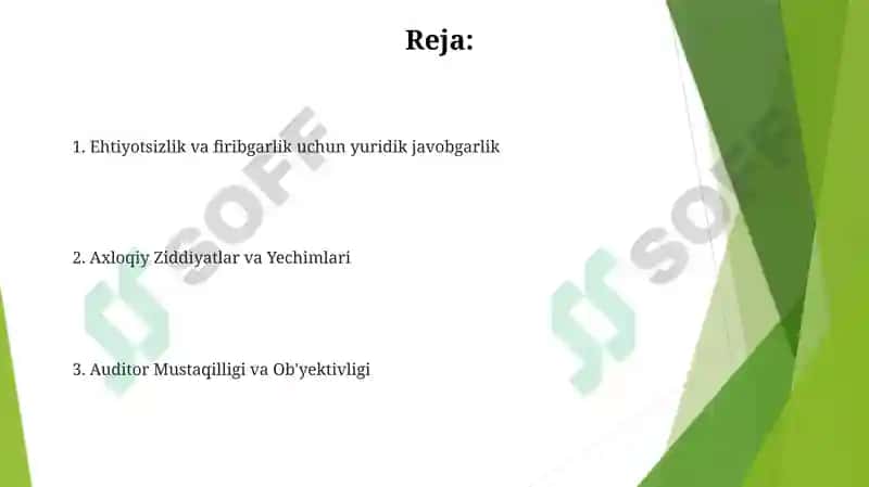 Auditorlik professional etikasi va auditorning huquqiy javobgarligi 2