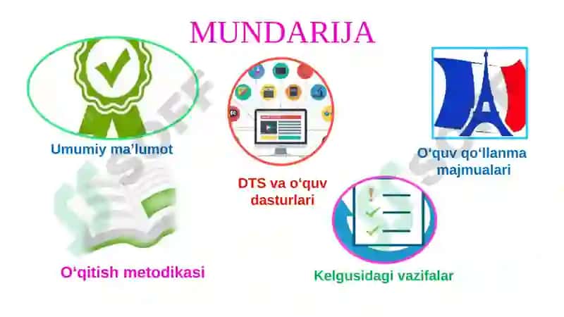 Umumiy O‘rta Ta’lim Maktablarida Fransuz Tilining O‘qitilishi Haqida Umumiy Ma’lumot 2
