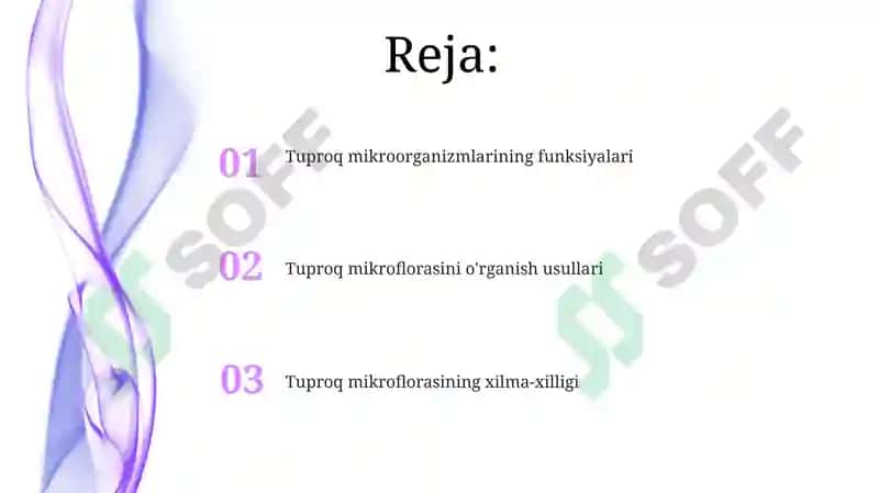 Tuproq mikroflorasini o'rganish 2