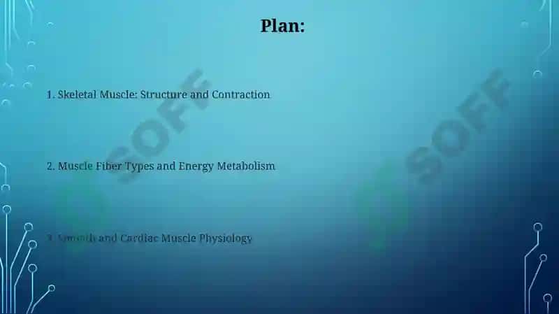 Physiology of muscles 2