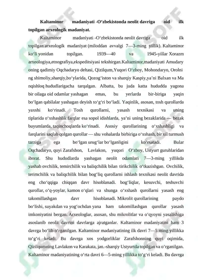 Kaltaminor madaniyati 2