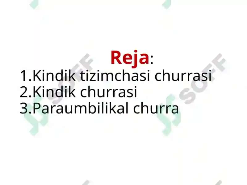 Kindik churrasi 2