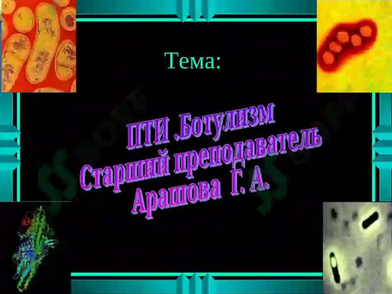 Пищевые токсикоинфекции 2