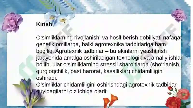 O'simlik_chidamliligiga_agrotexnik_tadbirlarning_ta'siri 2
