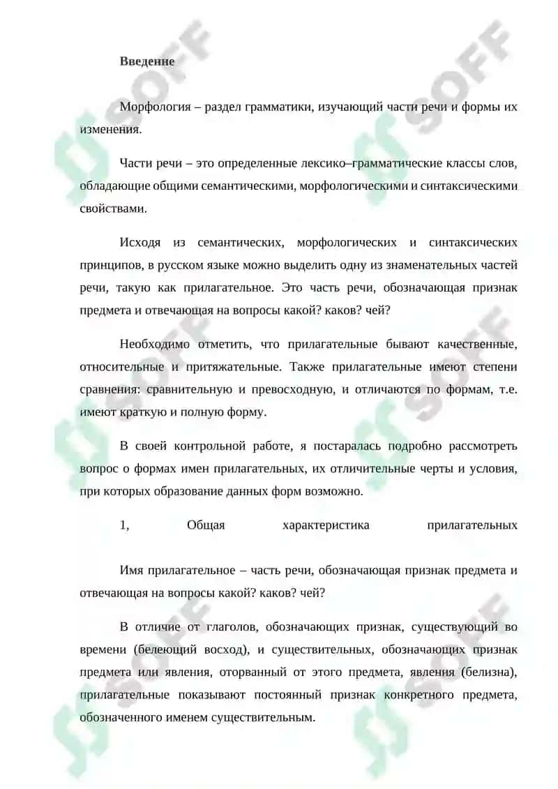 Имя прилагательное 2