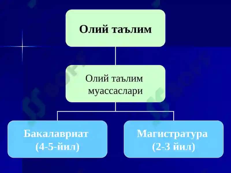 Олий таълим 2