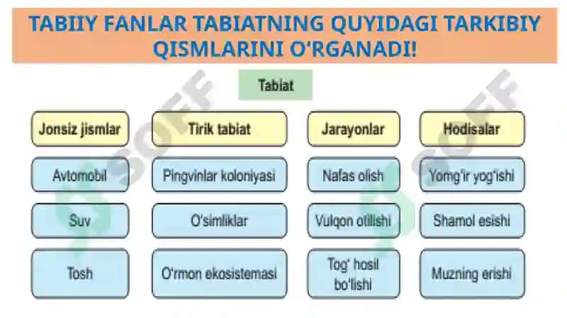 Tabiiy fanlar nazariyasi va metodikasi 2