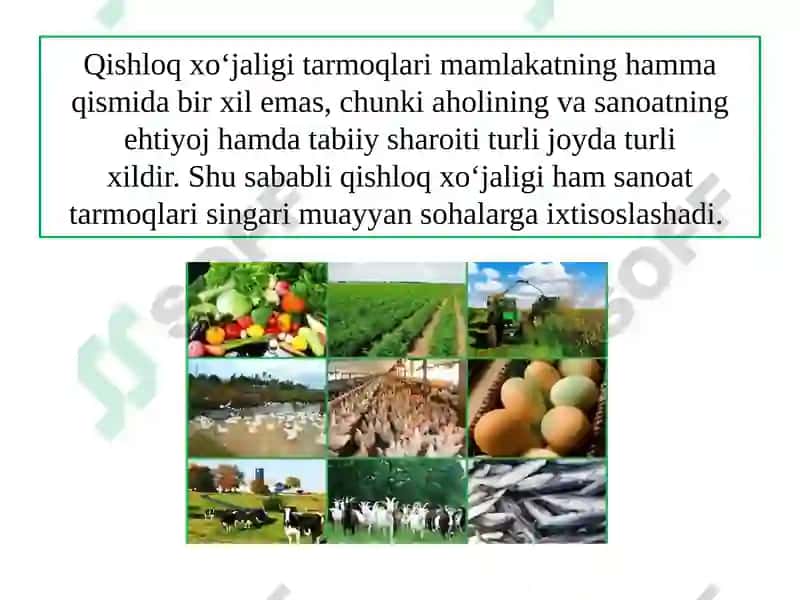 O‘ZBЕKISTОNDАQISHLОQХO‘JАLIGINING GЕОGRАFIK TIPLАRI 2