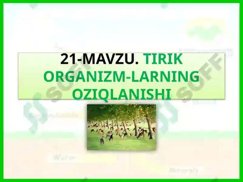 MAVZU.TIRIK ORGANIZM-LARNING OZIQLANISHI 2