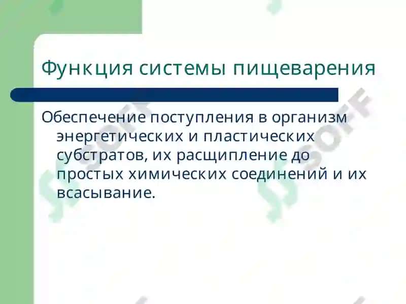 Патофизиология системы пищеварения 2