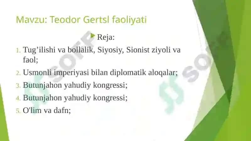 Teodor Herzal (siyonistik tashkilot asoschisi) 2