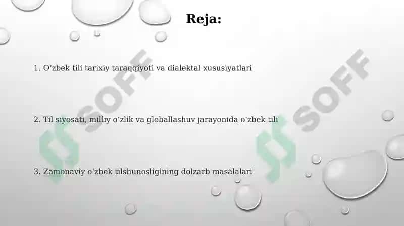 Oʻzbek etnosining tili masalasida tilshunoslarining qarashlari 2