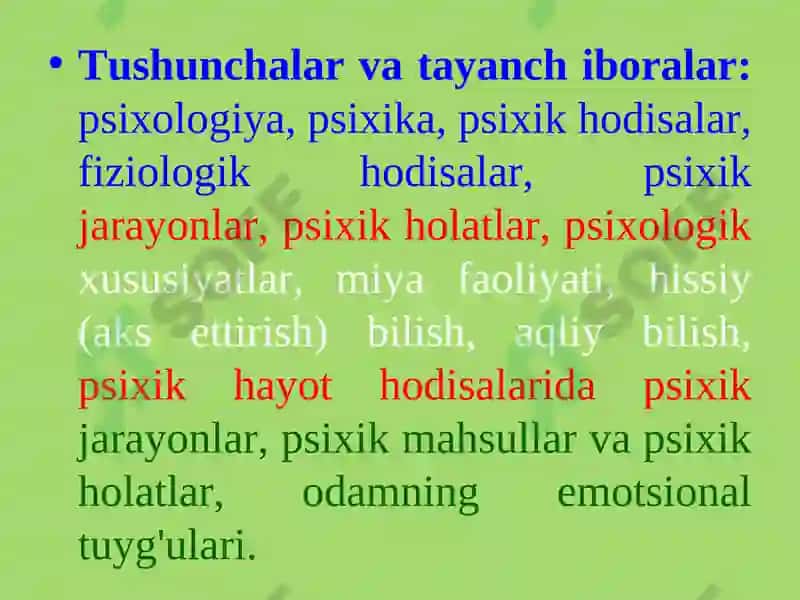 PSIXIKANING NERV-FIZIOLOGIK ASOSLARI 2