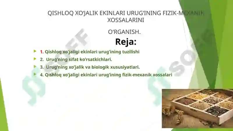 QISHLOQ XO‘JALIK EKINLARI URUG‘INING FIZIK-MEXANIK XOSSALARINIO‘RGANISH. 2