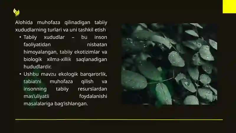 Alohida muhofaza qilinadigan tabiiy xududlarning turlari va uni tashkil etish 2
