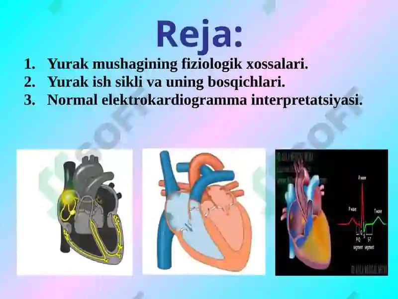 Yurak mushaklarining fiziologik vazifalari normal EKG 2