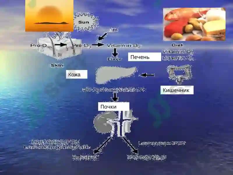 Рахит 2