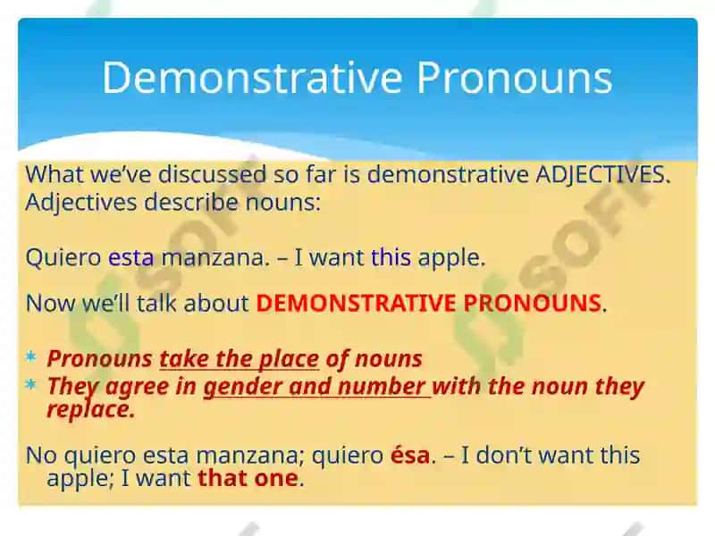 Demonstrative Pronouns 2