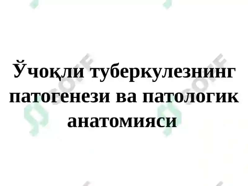 Ўчоқли, яллиғланган туберкулези ва ўпка туберкулемаси 2