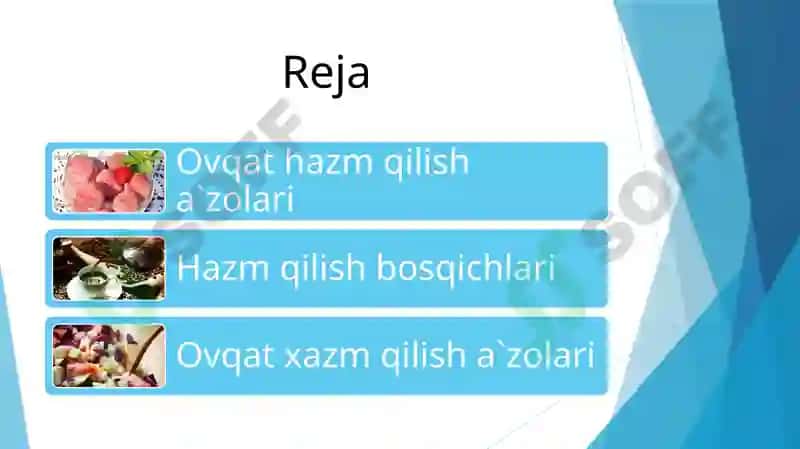 OVQAT HAZM QILISH SISTEMASI 2